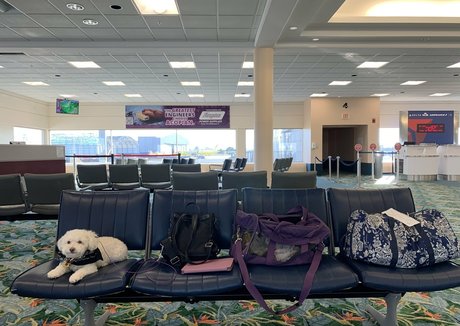 Soyacide freie akt bild