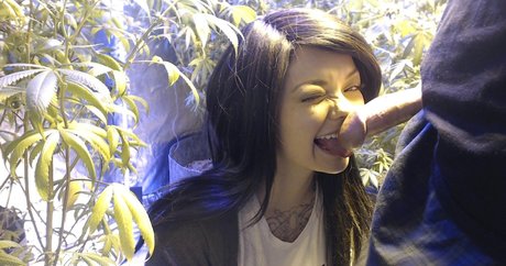 Soyacide top beste galerie