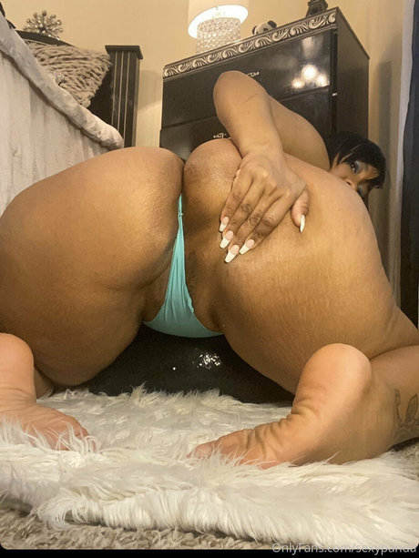 sexypanda perfekte pornographische archiv