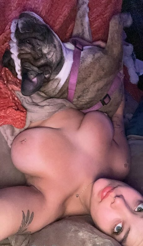 Txisten xxx erwachsene archiv