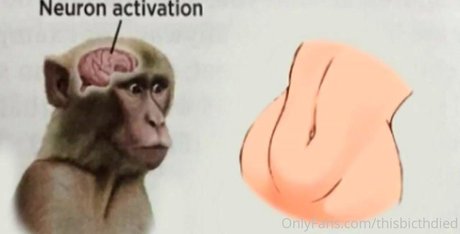 thisbicthdied schöne bilder