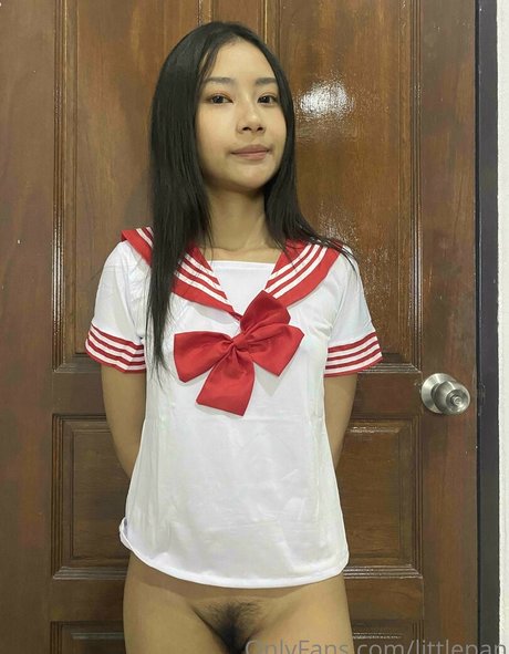 littlepan pornographische bild