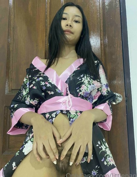 littlepan perfekte schöne galerie