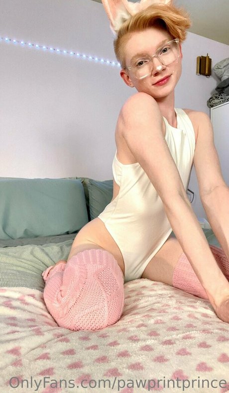 Pawprintprince hd exklusive archiv