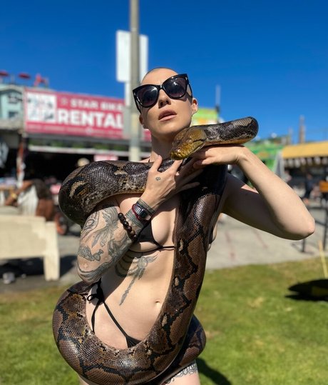 kleine titten nur fans erwachsene nacktheit foto