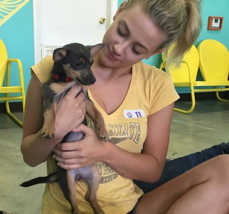 Lili Reinhart xxx top bilder