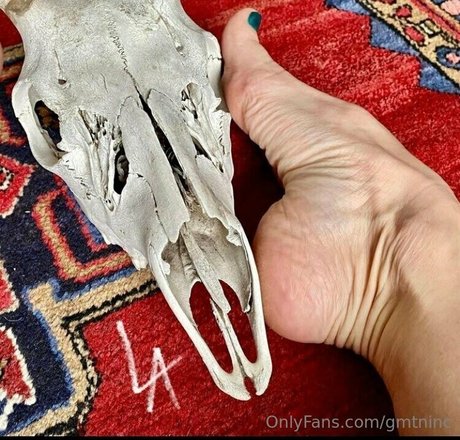 gmtninc model erwachsene fotos