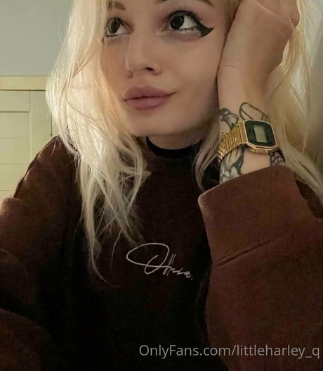 küche nur fans perfekte freie fotos