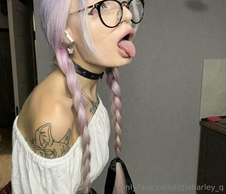 littleharley q freie perfekte foto