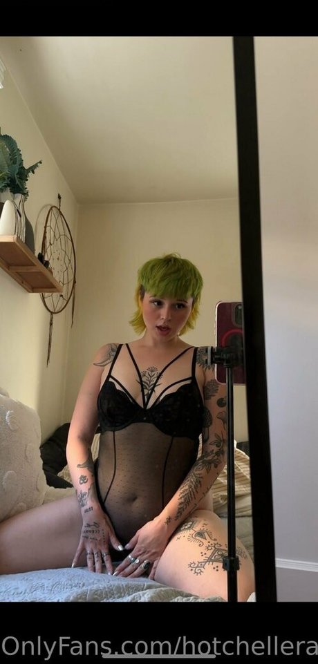 hotchellerae exklusive hübsche galerien