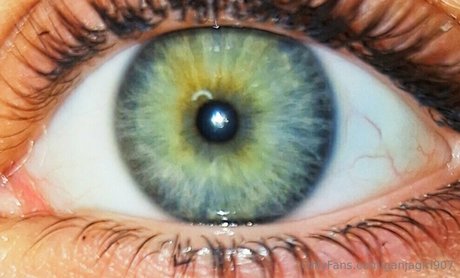 ganjagirl907 porno nackten foto