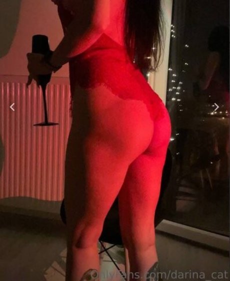 darina cat beste schöne galerien