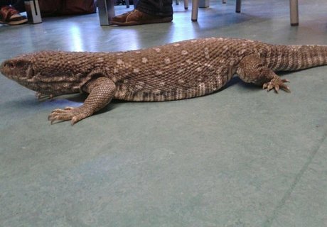 siswet19 nackt sex galerie