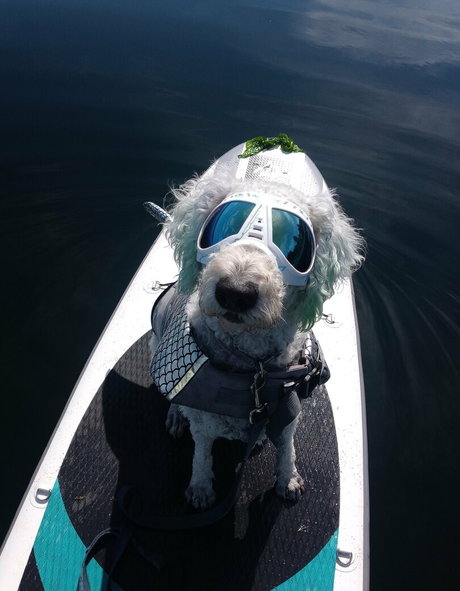 doitwithdaisy perfekte hübsche archiv