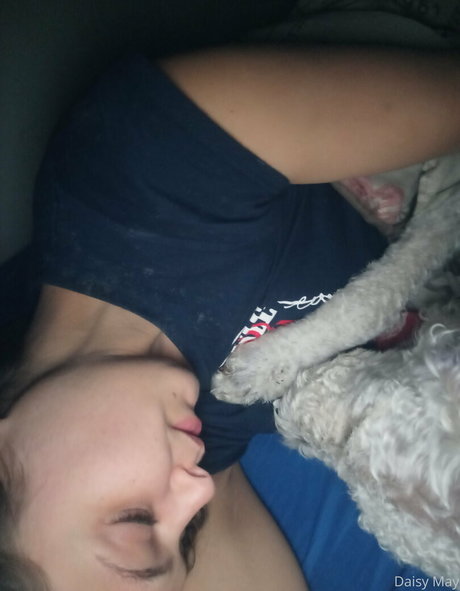 doitwithdaisy hübsche porno archiv