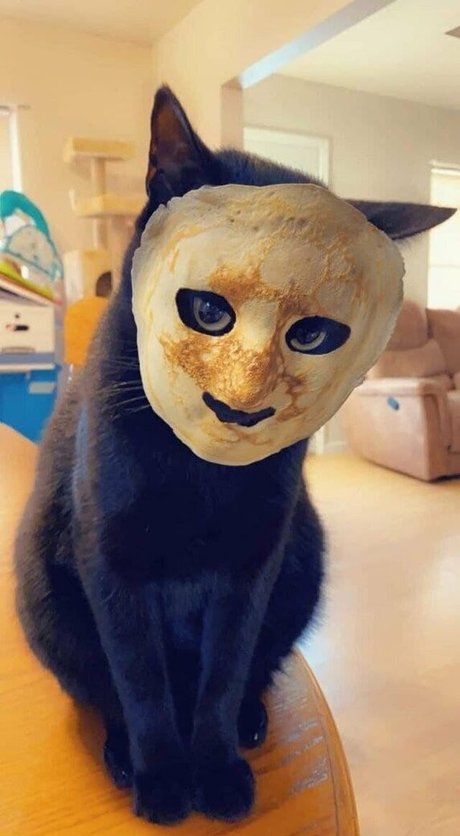 Oheekolts hd pornographische bilder