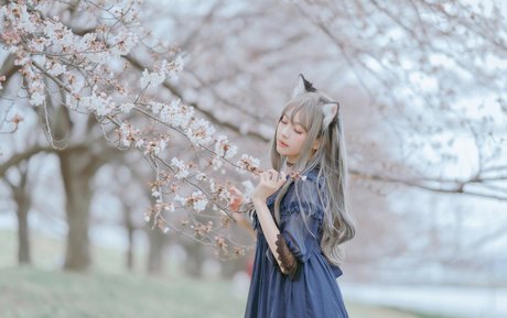 eeelyeee freie hd bilder