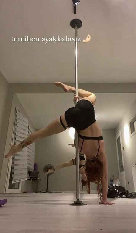 Dixowho kostenlose porno bilder