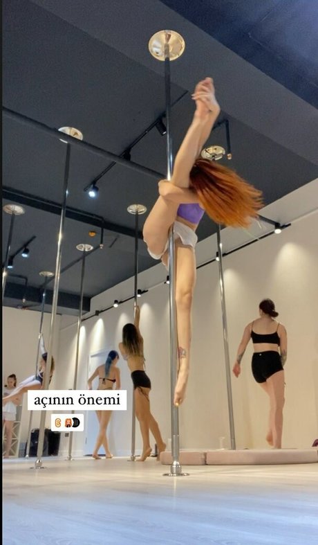 Dixowho beste pornostar foto