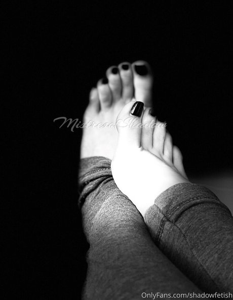 mistressofshadow Profilbild