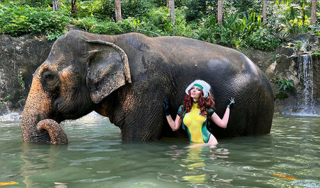 AGflower Cosplay model kunst galerien