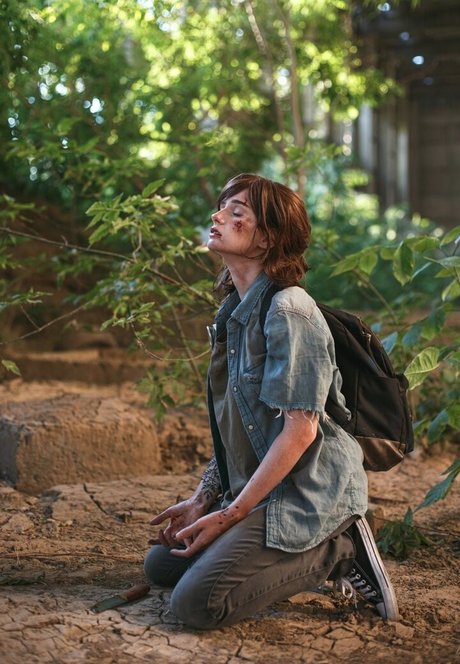 Likeassassin kunst pornographische foto