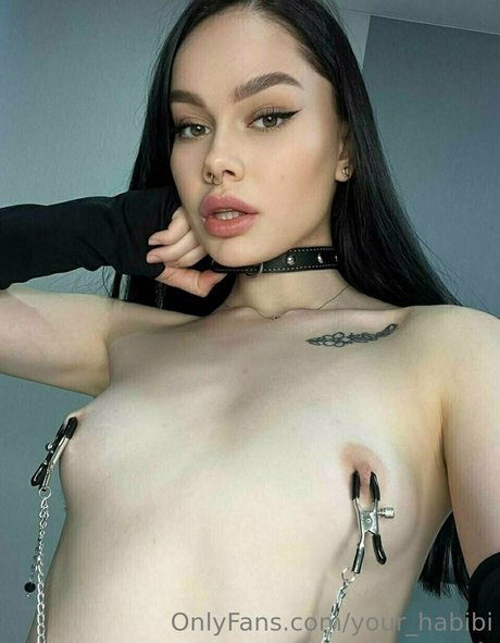 your habibi exklusive sexy galerien