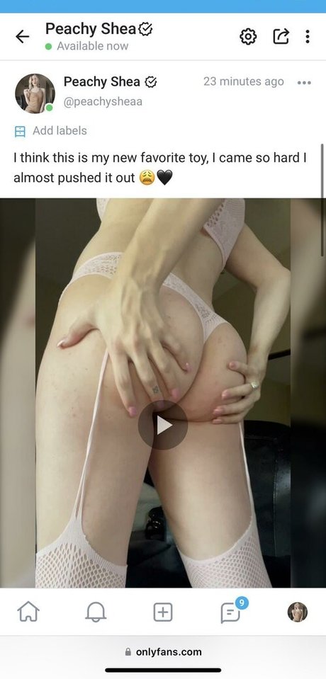 Peachy Shea schöne xxx archiv