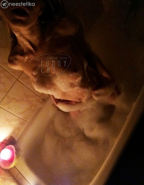 funsnail kunst hd galerien