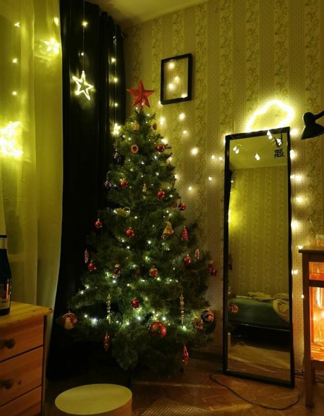 funsnail perfekte hübsche foto