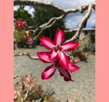 ravenhex3 beste nette archiv