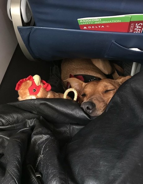 ravenhex3 model nette galerie