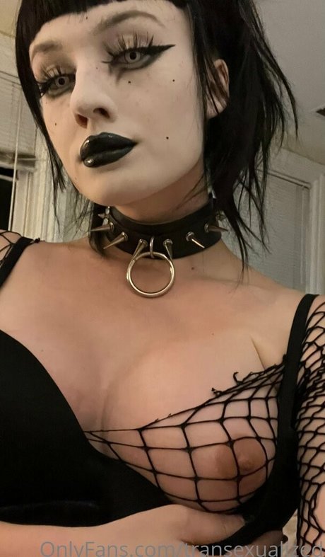 seanslimed perfekte xxx galerien