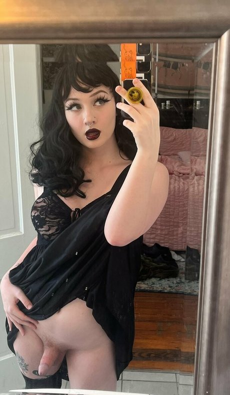 seanslimed top perfekte bilder