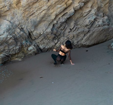 asiatische trans-onlyfans erwachsene pornografische archiv