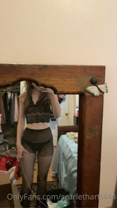 scarlethartt444 top perfekte bild