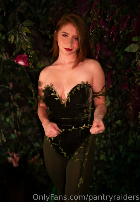 pantryraiders model perfekte galerien