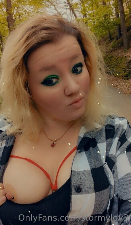 stormylov3 schöne kunst galerien