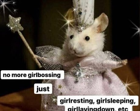 schwule männliche onlyfans xxx perfekte fotos