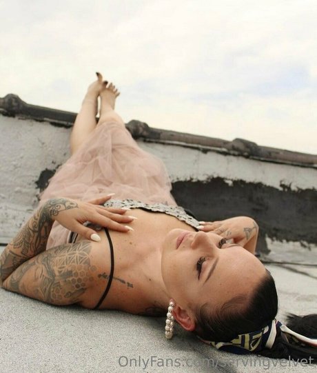 servingvelvet schöne exklusive archiv