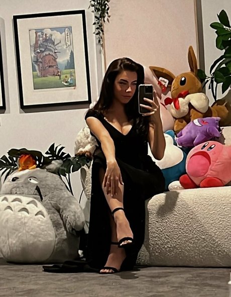 Paladinamber model xxx archiv