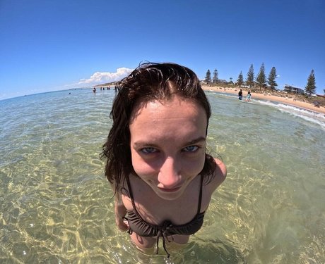 Paladinamber hd pornographische bild