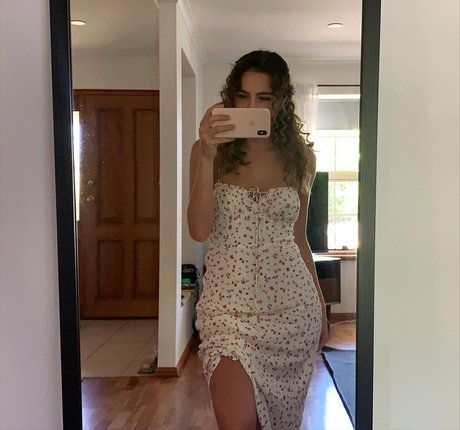 Paladinamber kunst perfekte archiv