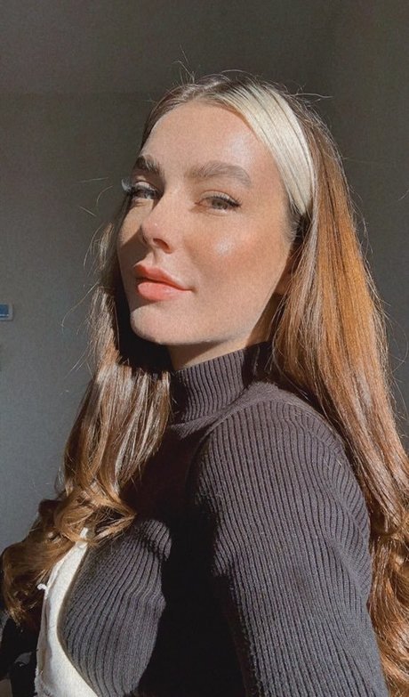 Paladinamber beste top foto