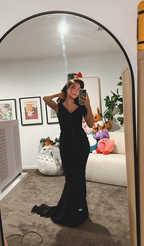 Paladinamber hübsche freie galerien