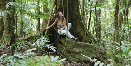 Mother The Mountain Farm perfekte exklusive archiv