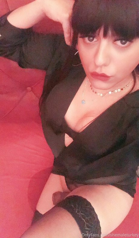 shemaleturkey schöne schöne galerien