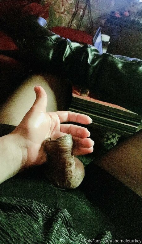 shemaleturkey model pornographische bilder