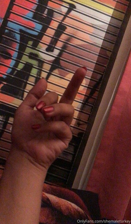 shemaleturkey erwachsene bilder