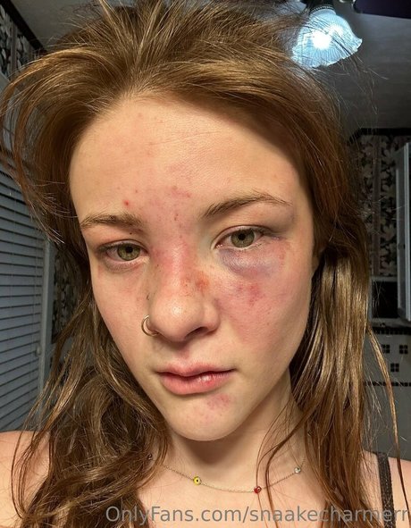 snaakecharmerr kunst beste archiv